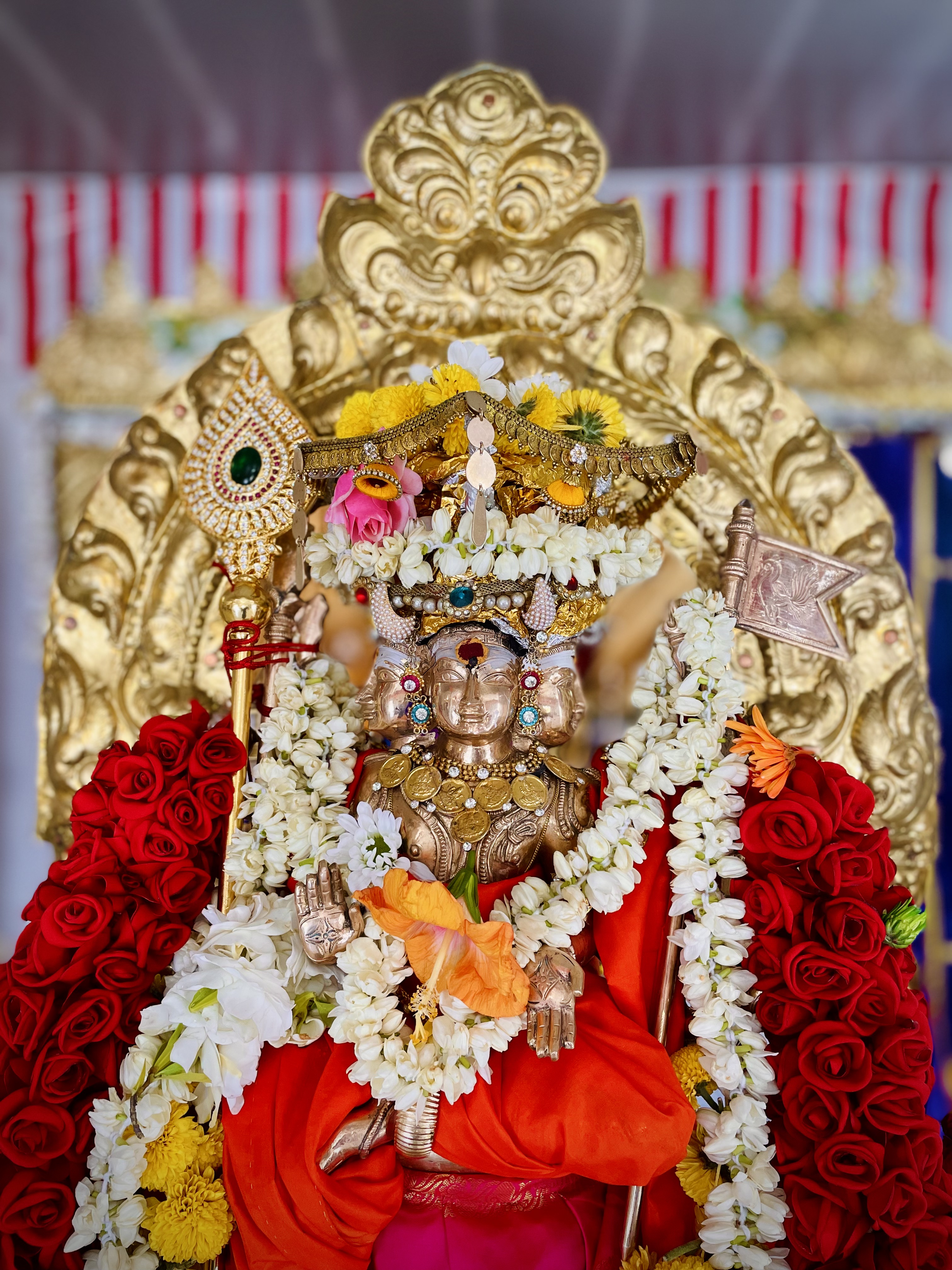 Gallery Image 13